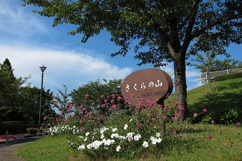 1_さくらの山公園.jpg
